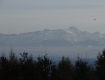 MG_0256