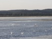 MG_2715