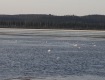 MG_2717
