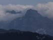 IMG_5767
