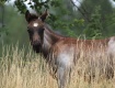 IMG_5789