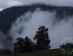 IMG_6064