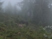 IMG_6206