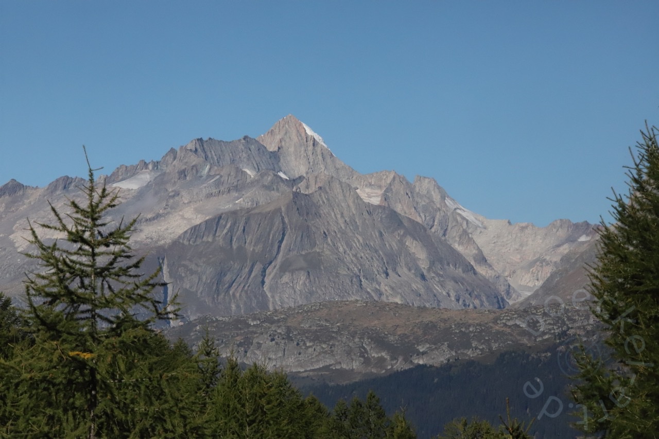 IMG_7079_wasserzeichen