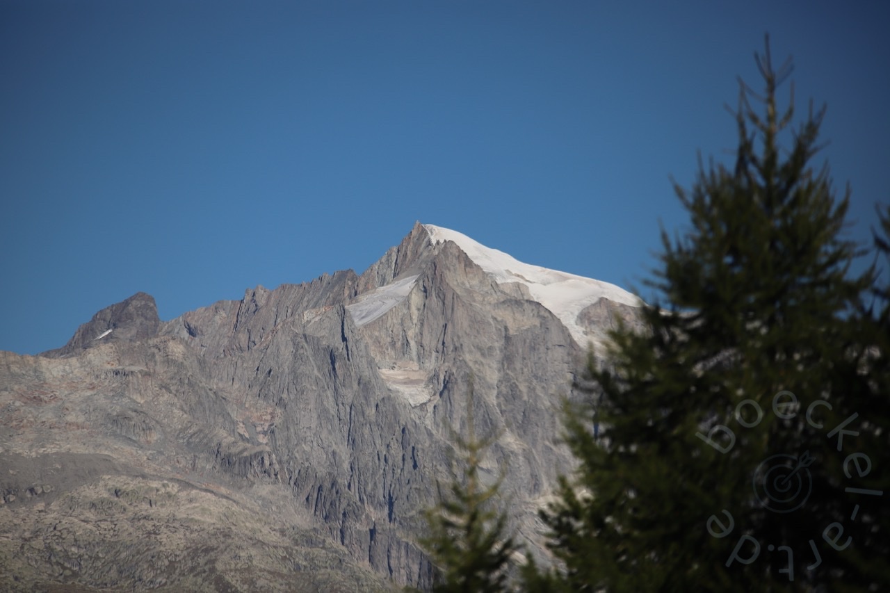 IMG_7085_wasserzeichen