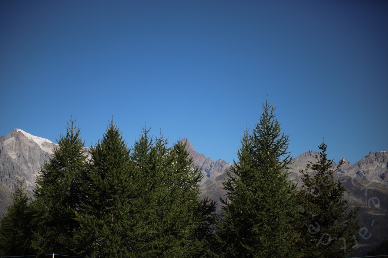 IMG_7087_wasserzeichen