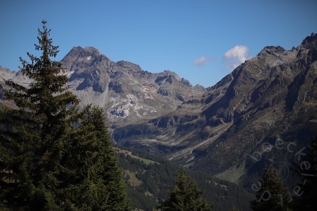 IMG_7234_wasserzeichen