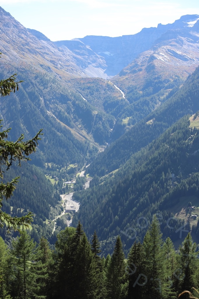 IMG_7280_wasserzeichen