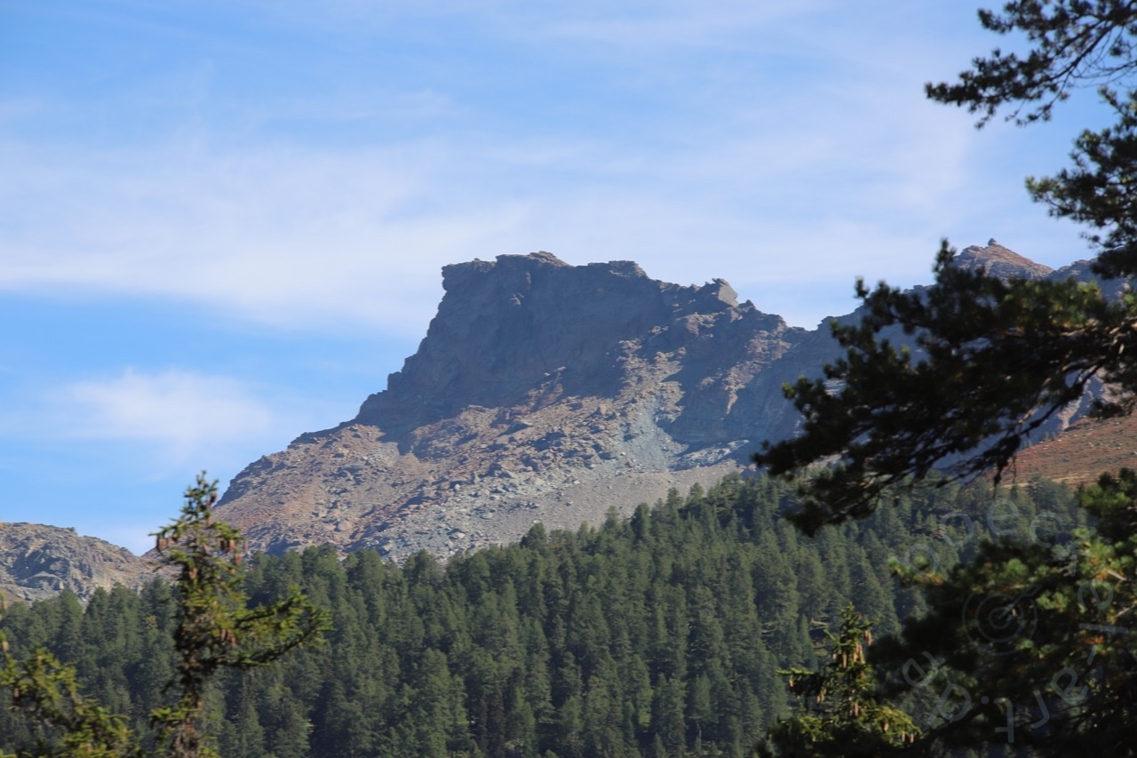 IMG_7284_wasserzeichen