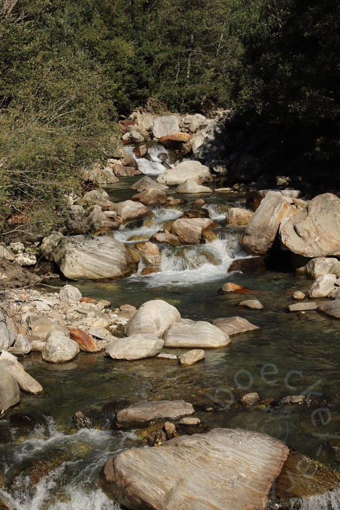 IMG_7319_wasserzeichen