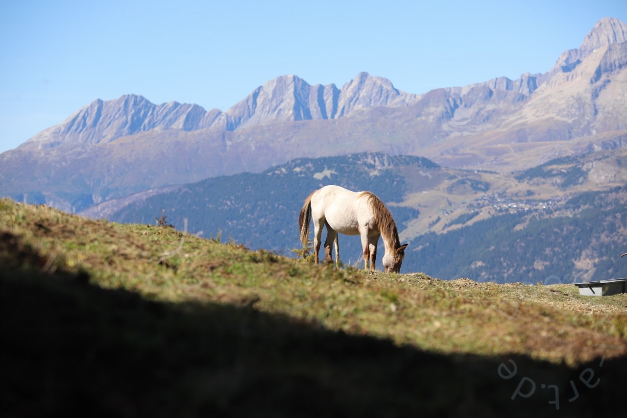 IMG_7116_wasserzeichen