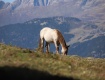 IMG_7115_wasserzeichen
