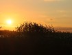 IMG_0097