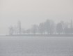 _MG_0348