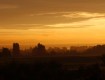 _MG_0286