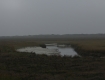 IMG_003778