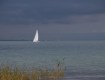 IMG_0284