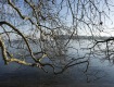 _MG_0321