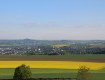 IMG_2429