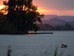 IMG_2531