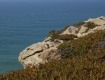 _mg_2160