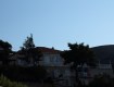 IMG_1584