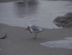 IMG_0203