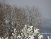 IMG_2040